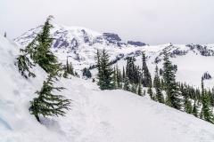 A leading line snow-packed trail heading toward Mount Rainier against an almost monochromatic backdrop of bright snow and sky and dark trees and rock, Mount Rainier National Park