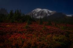 A foreground of brilliant red and orange huckleberry bushes light up by moonlight, with a tall, snowcapped mountain in the background wrapped in a light veil of mist, all  beneath a dark sky dotted with stars, Mount Rainier National Park