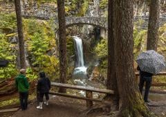People standing in the rain viewing Christine Falls in Mount Rainier National Park