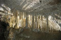 Backlit soda straw stalactites in Oregon Caves National Monument and Preserve