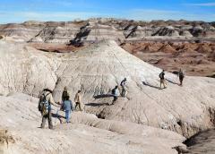 A ranger-guided hike over the badlands of Red Basin at Petrified Forest National Park