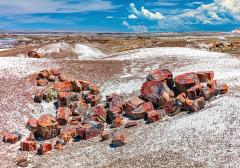 Brightly-colored petrified log sections seen along the Crystal Forest Trail in Petrified Forest National Park