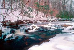 A view of South Fork Quantico Creek in the winter, Prince William Forest Park