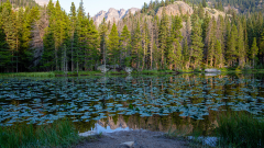 A shadowed Dream Lake with floating lily pads and sunlit mountains in the background, Rocky Mountain National Park in Colorado