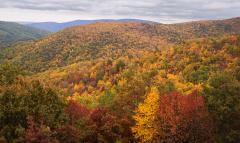 A view of autumn landscape in yellow, red, gold, and green from the Trayfoot Mountain Overlook in Shenandoah National Park