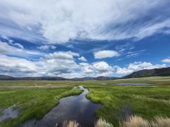 A narrow stream flows through a vast grassland meadow in Valles Caldera National Preserve