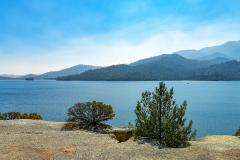 A hazy, sunny view of Whiskeytown Lake, with mountains in the background and a couple of shrubs in the foreground, Whiskeytown National Recreation Area