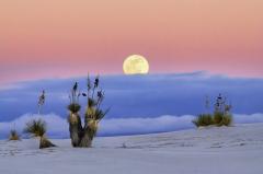 A large moon in a pink and purple sky over the pristine sands of White Sand National Park