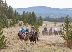 A group of people on horseback riding through Swan Lake Flats, Yellowstone National Park