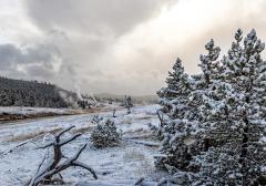 A snowy, cold, autumn morning along the Firehole River, with thick steam rising from the hotsprings along the shoreline in Upper Geyser Basin, Yellowstone National Park, Wyoming