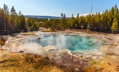 A steamy, clear, blue-green Emerald Spring surrounded by yellow-orange soil and trees in Norris Basin at Yellowstone National Park