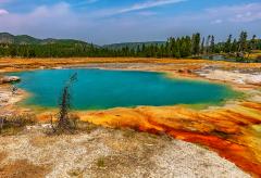 A turquoise-shaded hot spring surrounded by an orange and yellow bacterial mat at Biscuit Basin in Yellowstone National Park