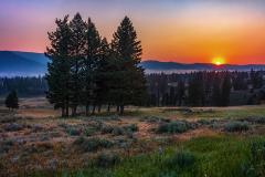 A sunburst of an orange-red sunrise climbs above the mountains and shines onto the shadowed trees in the foreground at Yellowstone Nnational Park