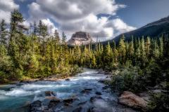 A teal-blue river in the foreground lined by tall green trees with a mountain and clouds in the background, Yoho National Park, Canada