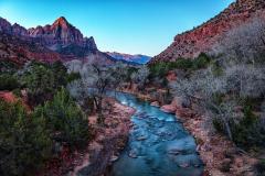 Soft, winter morning light over a mountain and river lined by bare trees, Zion National Park
