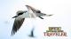 National Parks Traveler Episode 16: Sooty Terns And National Park Guidebooks